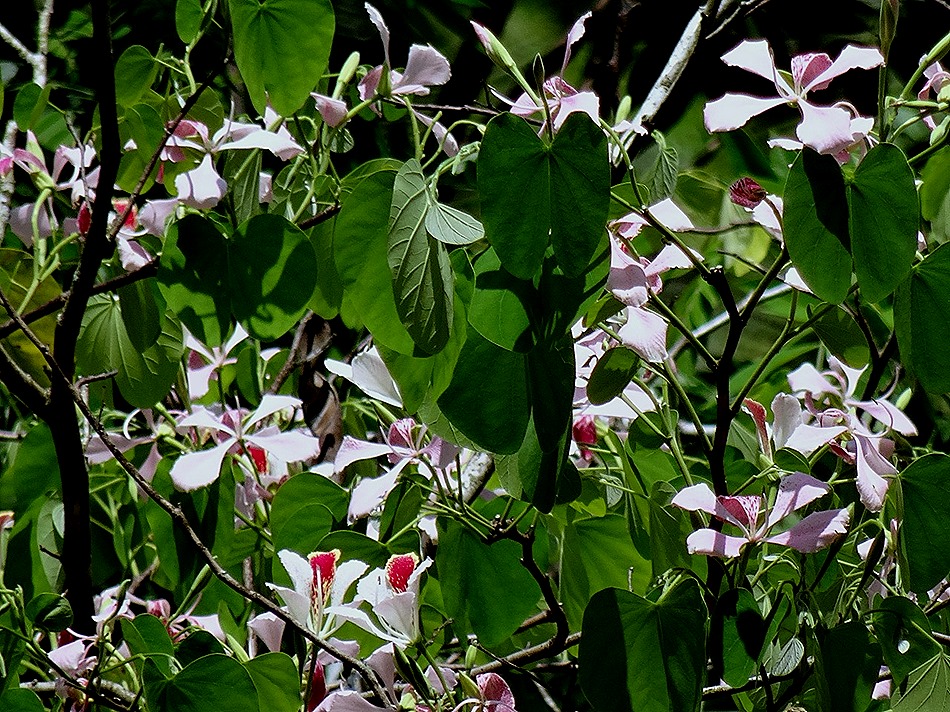 13. Colombo, Sri Lanka