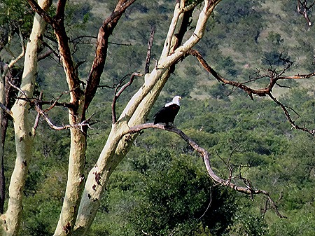 132. 010418Maputo, Mozambique & Kruger Nat Park, South Africa