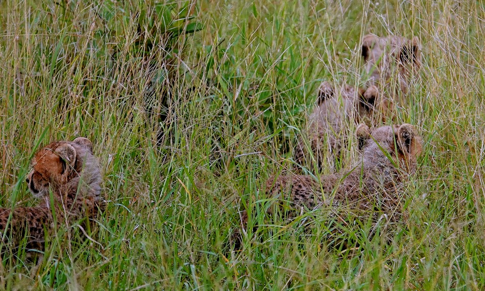 137. Kruger Nat Park, South Africa