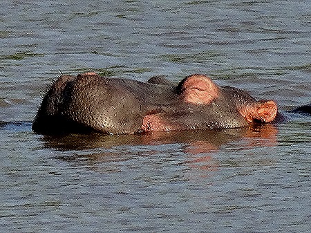 146. 010418Maputo, Mozambique & Kruger Nat Park, South Africa