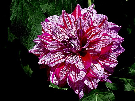 146. Singapore (Day 2)