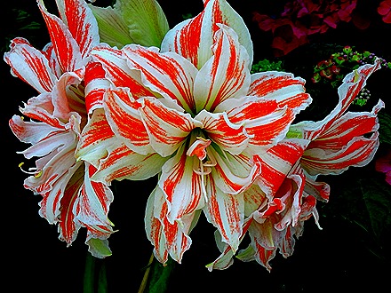 151. Singapore (Day 2)