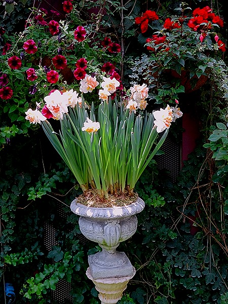 153. Singapore (Day 2)