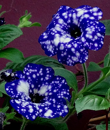 154. Singapore (Day 2)