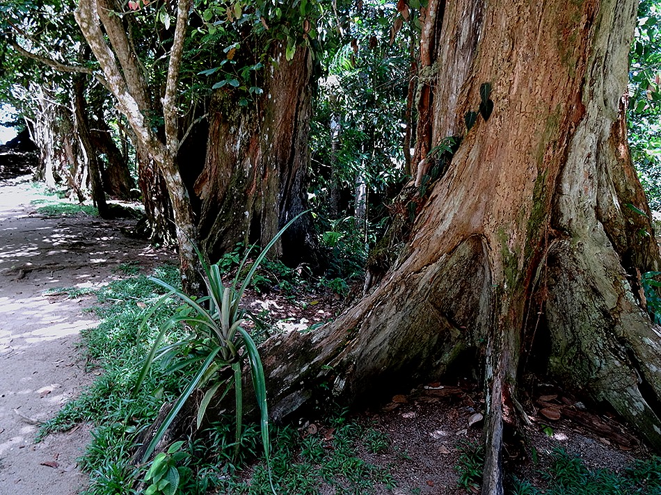 154. Victoria, Mahe, Seychelles