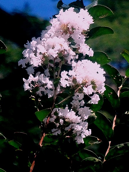 156. Victoria, Mahe, Seychelles