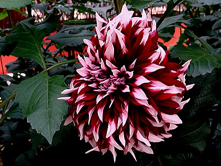 162. Singapore (Day 2)