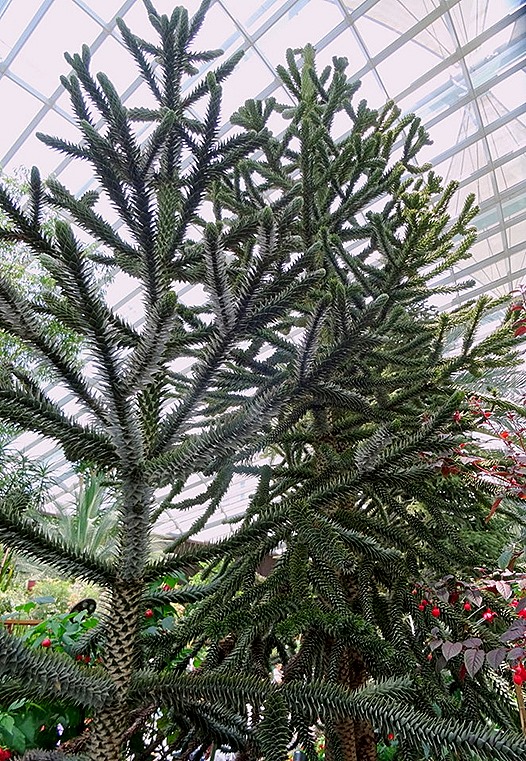 164. Singapore (Day 2)