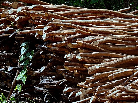 17. Colombo, Sri Lanka