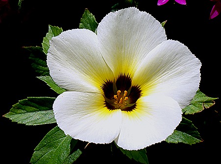 17. La Possession, Reunion Island