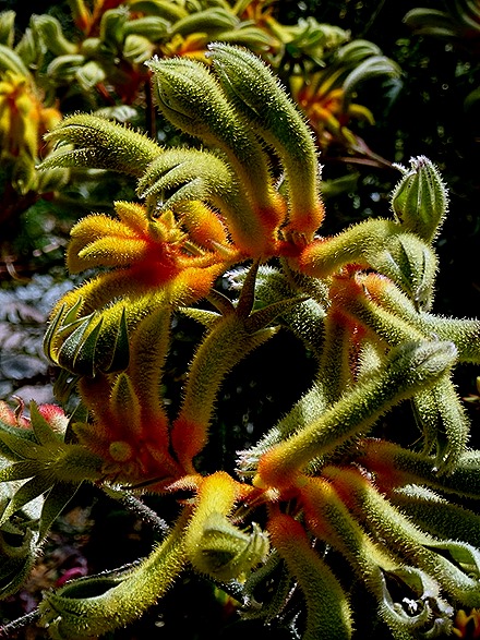 174. Singapore (Day 2)