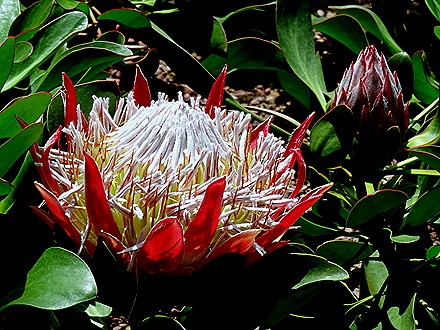 175. Singapore (Day 2)