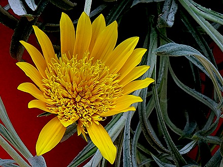 177. Singapore (Day 2)