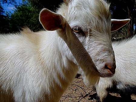 177. Walvis Bay, Namibia080418
