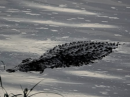 18. Kruger Nat Park, South Africa