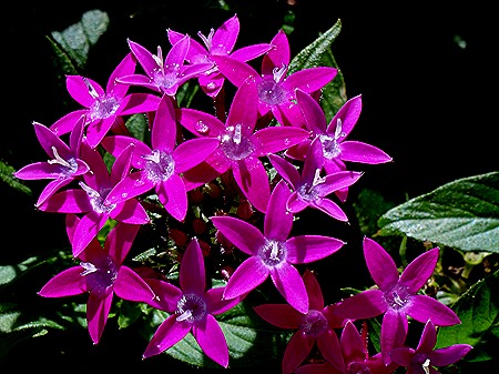 18. La Possession, Reunion Island