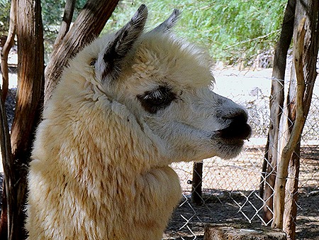 181. Walvis Bay, Namibia080418