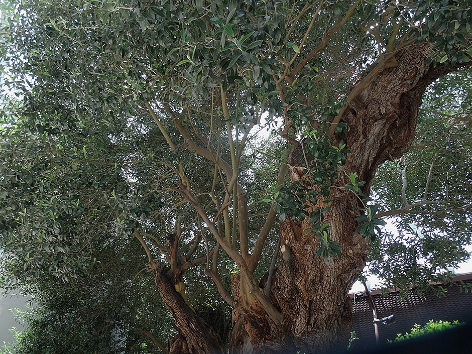 183. Singapore (Day 2)