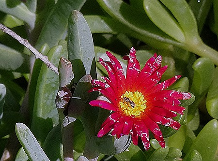 183. Walvis Bay, Namibia080418