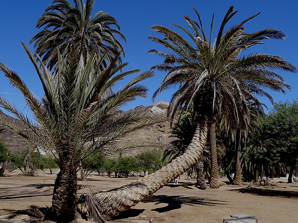 185. Walvis Bay, Namibia080418
