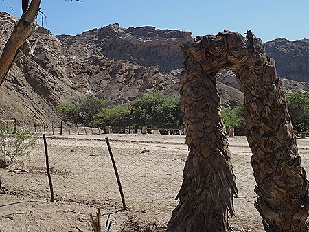 189. Walvis Bay, Namibia080418