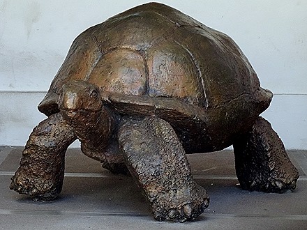 19. Victoria, Mahe, Seychelles