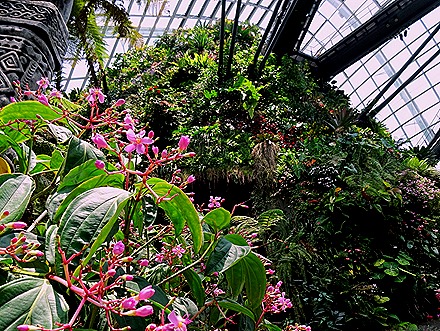 195. Singapore (Day 2)