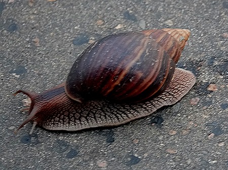 2. Kruger Nat Park, South Africa