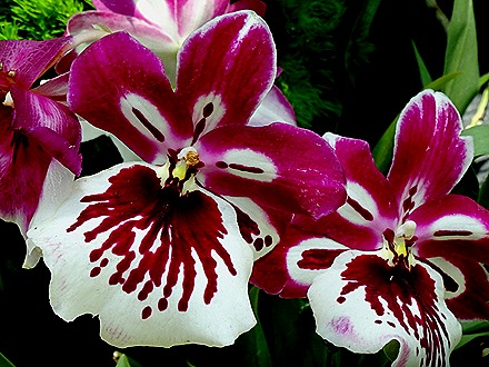 200. Singapore (Day 2)