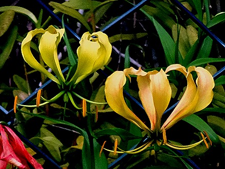 205. Victoria, Mahe, Seychelles