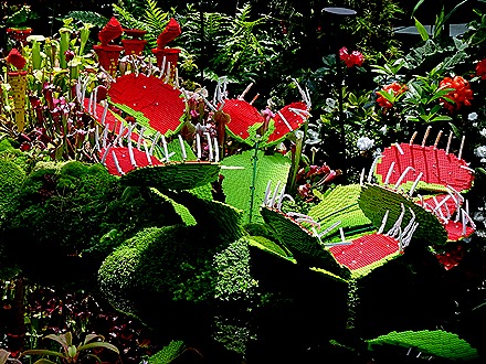 210. Singapore (Day 2)