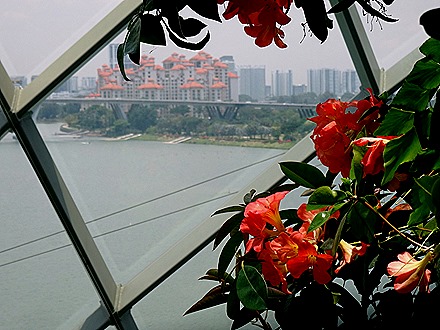 211. Singapore (Day 2)