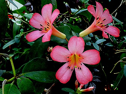 215. Singapore (Day 2)