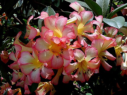 217. Singapore (Day 2)