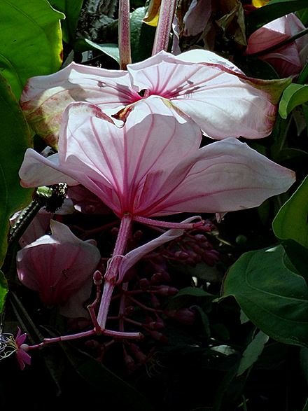 218. Singapore (Day 2)