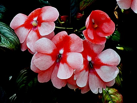 219. Singapore (Day 2)