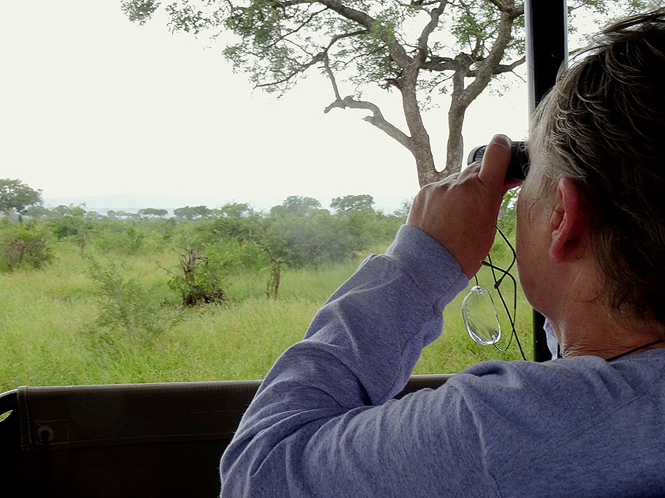 239. Kruger Nat Park, South Africa