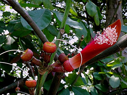 243. Singapore (Day 2)