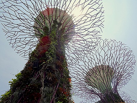 254. Singapore (Day 2)