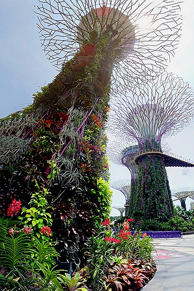 254a. Singapore (Day 2)_stitch