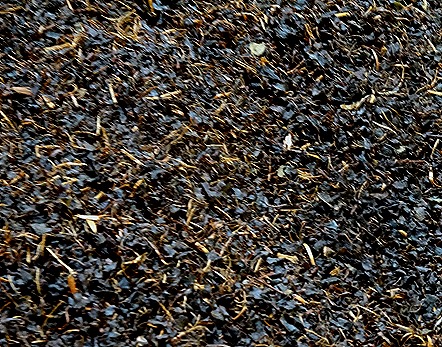 26. Colombo, Sri Lanka