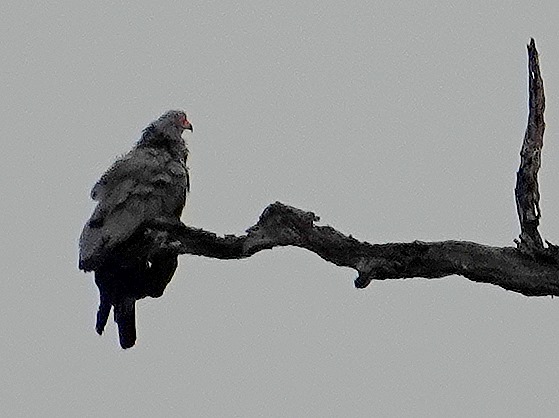 28. Kruger Nat Park, South Africa