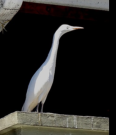 28. Victoria, Mahe, Seychelles