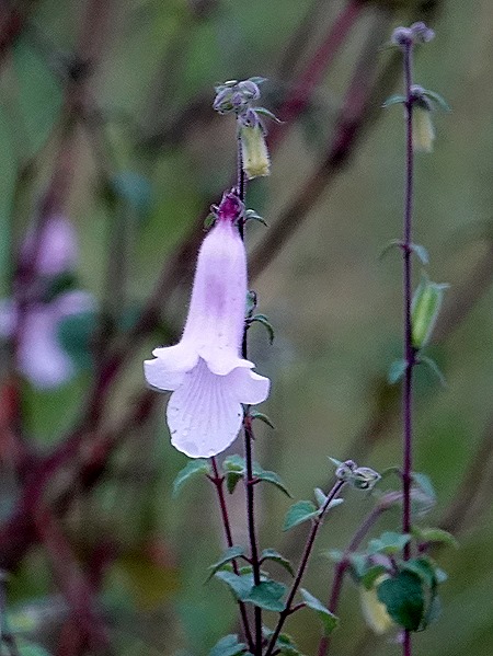3. Kruger Nat Park, South Africa