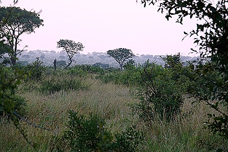 300. Kruger Nat Park, South Africa