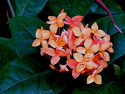 31. Singapore (Day 2)