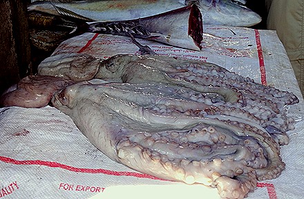 31. Victoria, Mahe, Seychelles