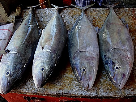 32. Victoria, Mahe, Seychelles