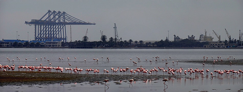 32a. Walvis Bay, Namibia080418_stitch
