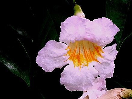 33. Singapore (Day 2)